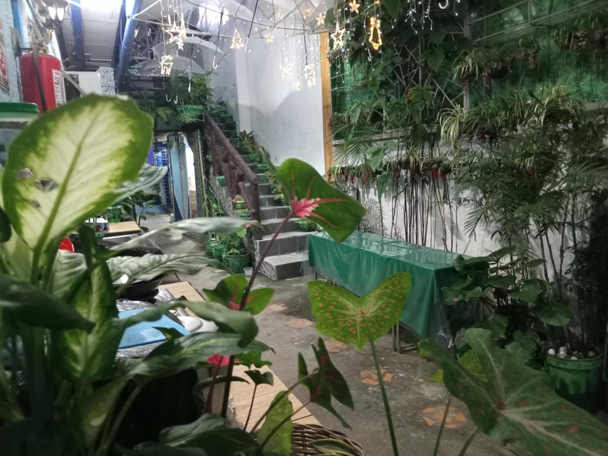 Daniela'S Place Анхелес Екстер'єр фото